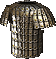 Templar Coat