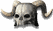 Bone Helm