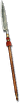 Spiculum