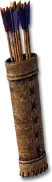 Quiver of Arrows