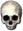 Flawless Skull