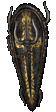The Ward
